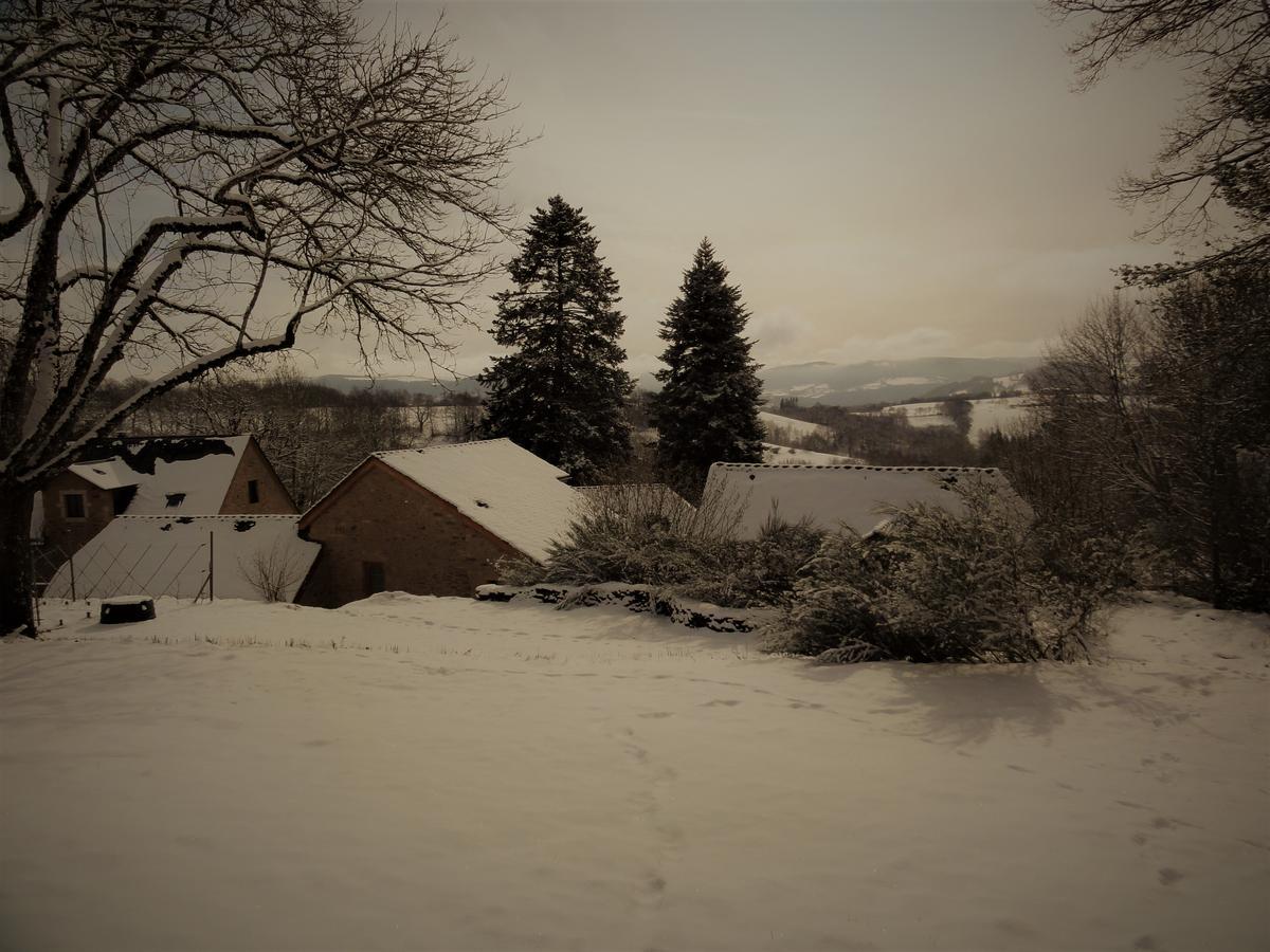 Domaine Des Marequiers Chambre Silene Saint-Germain-du-Teil Exteriér fotografie